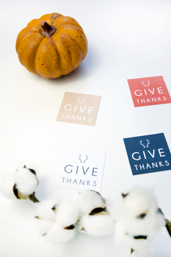 Give Thanks free printables tags. Download these free tags to use as name card holders, wrap around a napkin ring or write what you're thankful for. Cute Thanksgiving dinner idea!