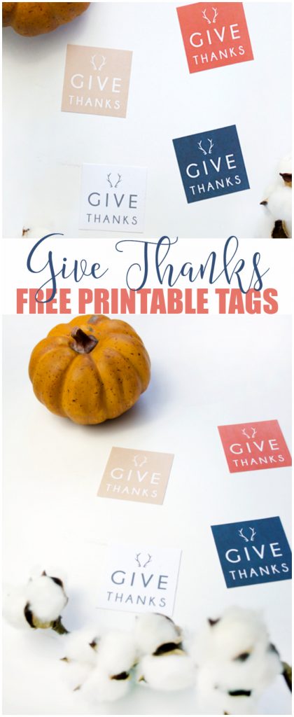 Give Thanks free printables tags. Download these free tags to use as name card holders, wrap around a napkin ring or write what you're thankful for. Cute Thanksgiving dinner idea!