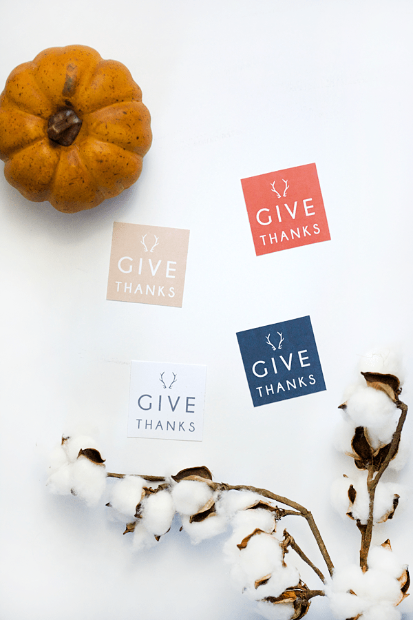 Give Thanks free printables tags. Download these free tags to use as name card holders, wrap around a napkin ring or write what you're thankful for. Cute Thanksgiving dinner idea!