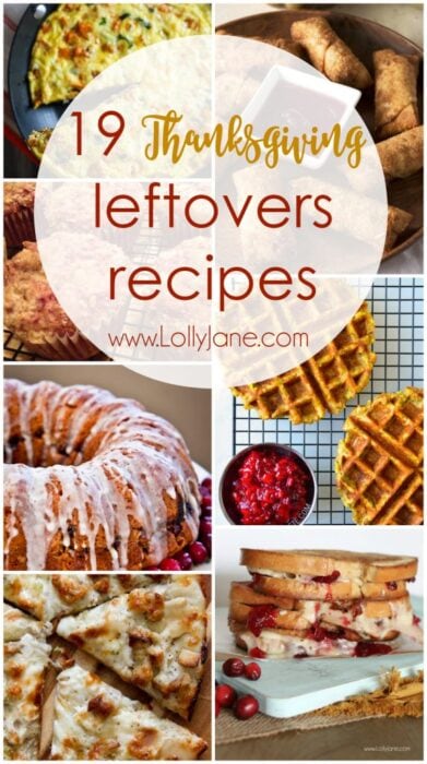 19 Thanksgiving Leftovers Recipes - Lolly Jane