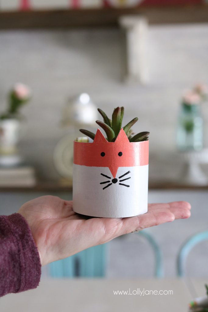 cereal box succulent planters