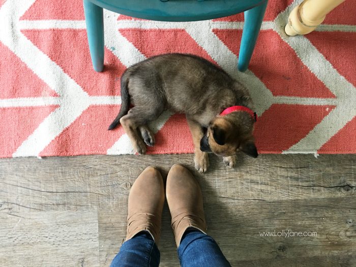 We love our Swiffer Vac! It picks up dirt and debris but also catches remaining allergens, pet hair and dander with its Swiffer Pad. Brilliant! Great tricks to keep pet hair shedding at bay! Lots of dog shedding home remedies.