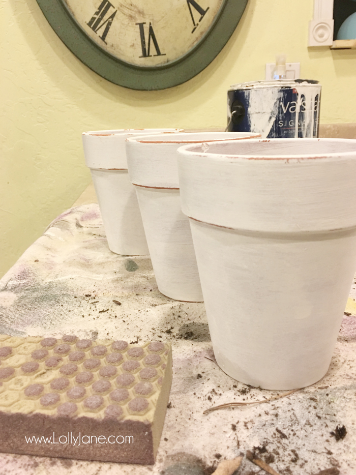 Painted pot tutorial, paint terra cotta pots white then lightly sand. Seal and plant succulents. Makes a great Valentine's Day centerpiece when grouped in an old toolbox!