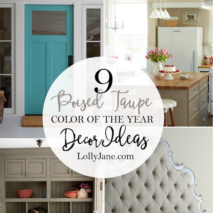 9 Poised Taupe color of the year decor ideas! Lots of pretty inspiration for this usually bland color.