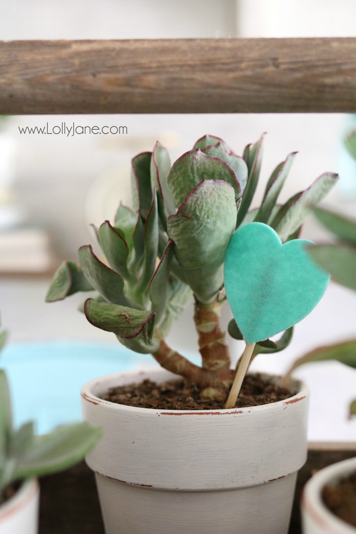 Valentine's Day succulent planter centerpiece. Easy to assemble: pot succulents into an old tool box, add felt heart sticks to accessorize. Love this easy Valentine's Day decor!