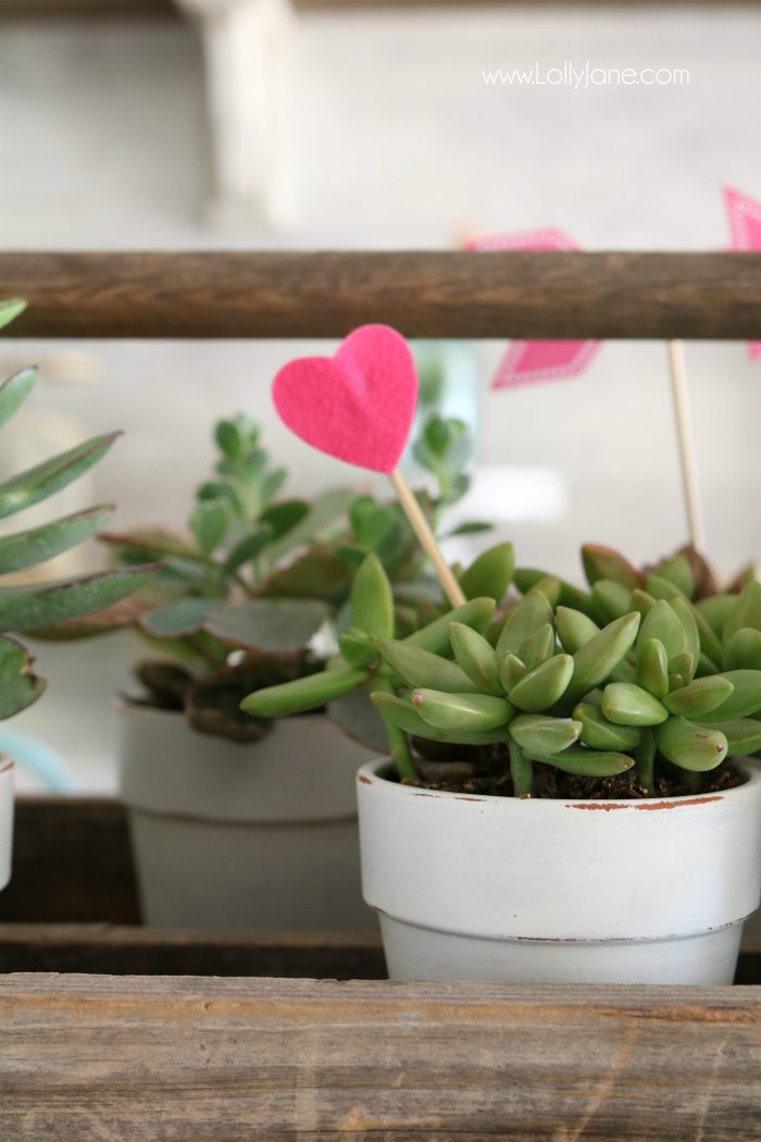 Valentine's Day succulent planter centerpiece. Easy to assemble: pot succulents into an old tool box, add felt heart sticks to accessorize. Love this easy Valentine's Day decor!