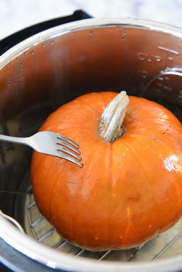 Instant Pot Dessert Recipes - Pumpkin Puree