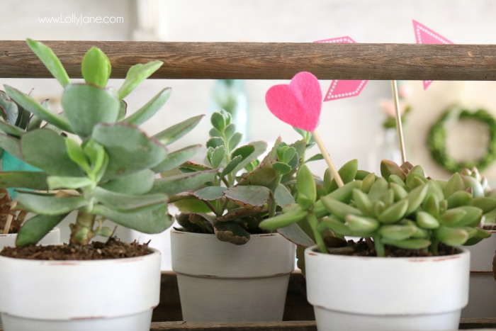 Valentine's Day succulent planter centerpiece. Easy to assemble: pot succulents into an old tool box, add felt heart sticks to accessorize. Love this easy Valentine's Day decor!