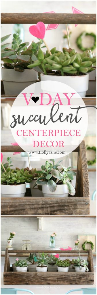 Valentine's Day succulent planter centerpiece. Easy to assemble: pot succulents into an old tool box, add felt heart sticks to accessorize. Love this easy Valentine's Day decor!