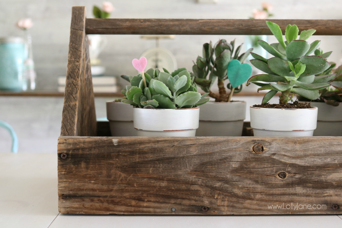 Valentine's Day succulent planter centerpiece. Easy to assemble: pot succulents into an old tool box, add felt heart sticks to accessorize. Love this easy Valentine's Day decor!