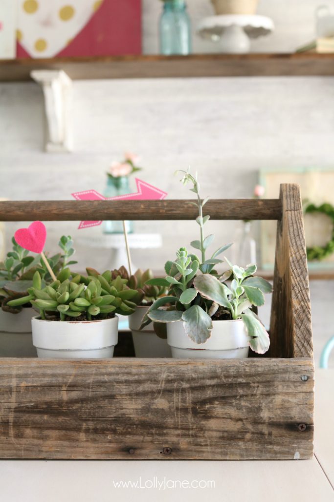 Valentine's Day succulent planter centerpiece. Easy to assemble: pot succulents into an old tool box, add felt heart sticks to accessorize. Love this easy Valentine's Day decor!