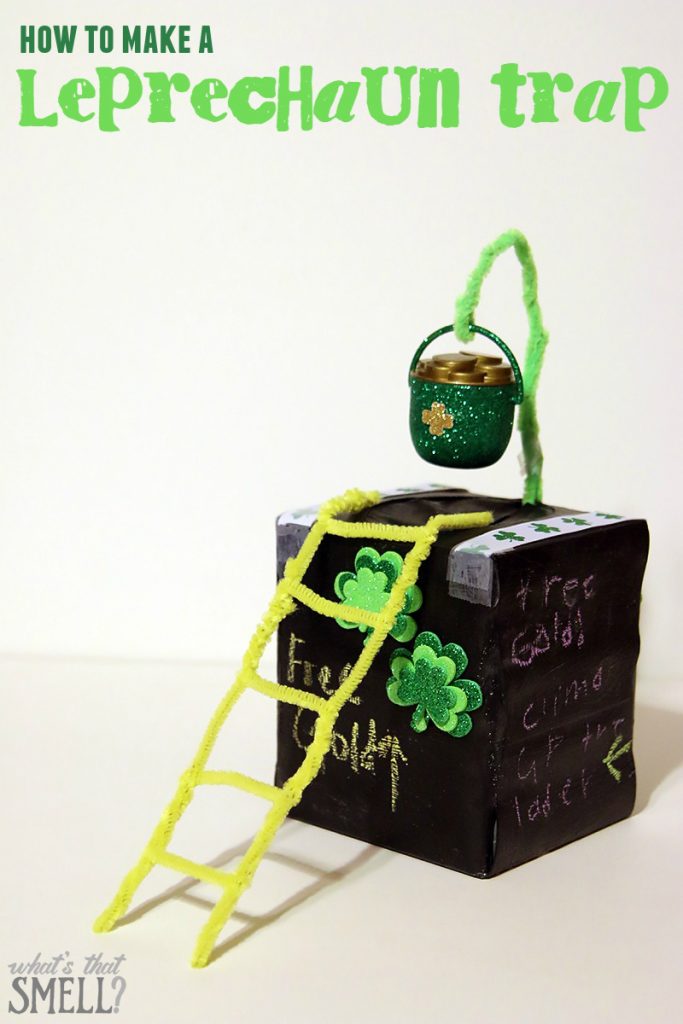 How to Build a Leprechaun Trap - The Suburban Soapbox