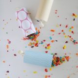 Easy party poppers for ANY celebration made from toilet paper rolls and colorful cereal! Great for outdoor parties, let the birds enjoy OR use glitter, pom poms, rice or other fun fillers!