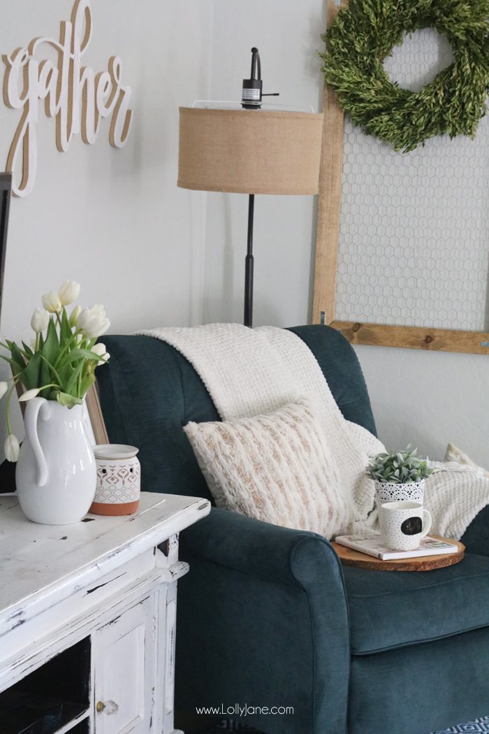 Easy Tips for Creating a Cozy Reading Nook in your Living or Family Room!