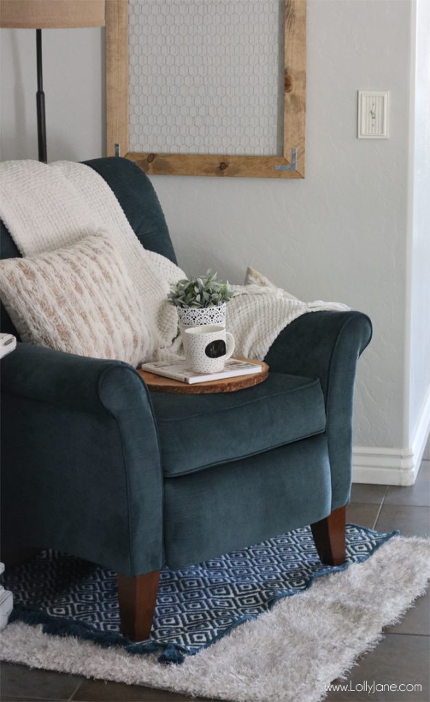 Easy Tips for Creating a Cozy Reading Nook in your Living or Family Room!