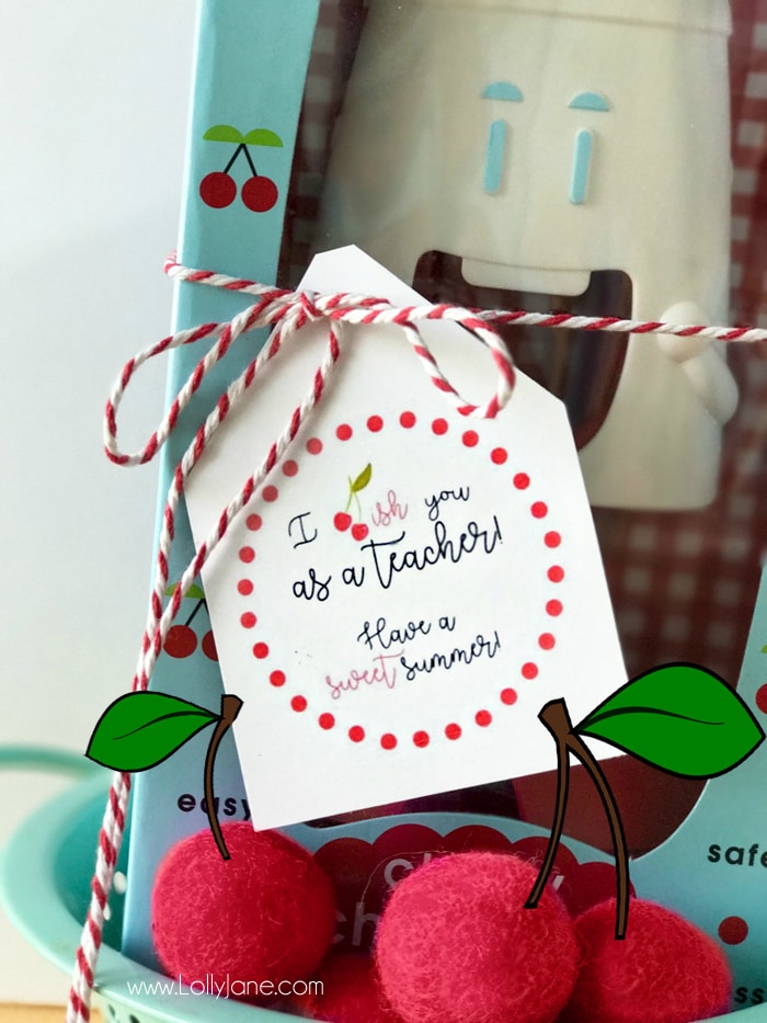 Sweet TEA-cher Iced Tea Themed Teacher Gift + Printable Tags