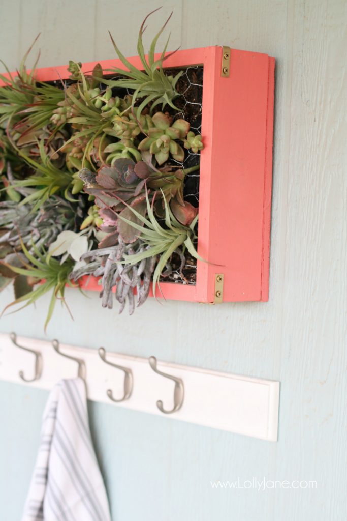 DIY vertical succulent garden | Learn how to build this DIY vertical succulent garden. Cute outdoor porch decor! Great outdoor wall decor idea, get the hanging plants onto the wall!