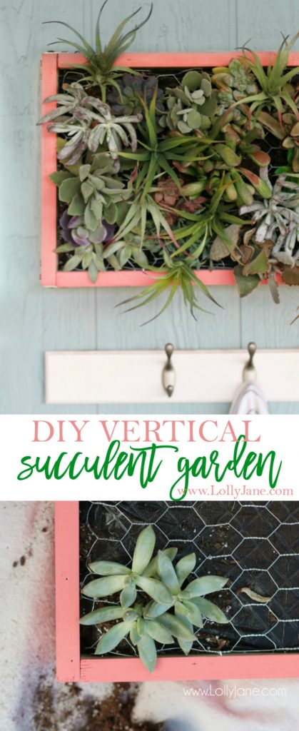 DIY vertical succulent garden | Learn how to build this DIY vertical succulent garden. Cute outdoor porch decor! Great outdoor wall decor idea, get the hanging plants onto the wall!