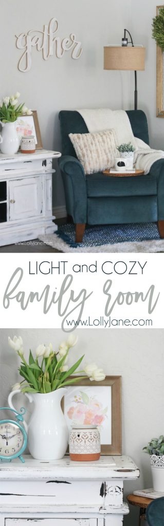 Easy Tips for Creating a Cozy Reading Nook in your Living or Family Room!