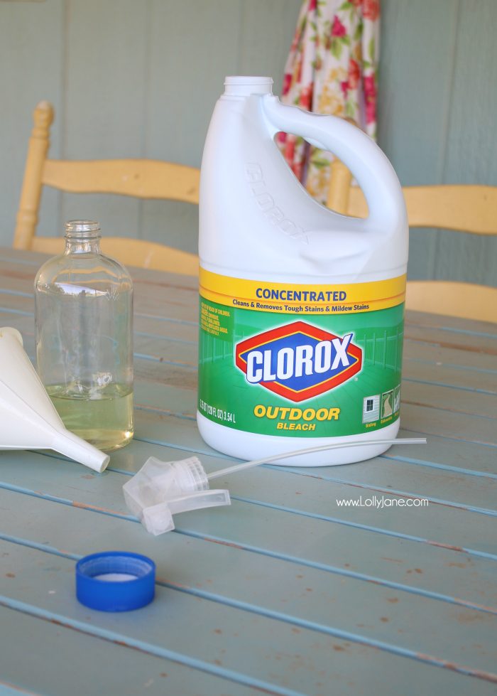 Awesome BBQ or outdoor party tips! Before you get started, clean with this awesome product! 