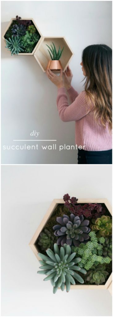 9 stunning wall planters! Check out these green happy wall planter decor ideas! Love adding greenery indoors, these wall planters are a great way to spruce up your space!