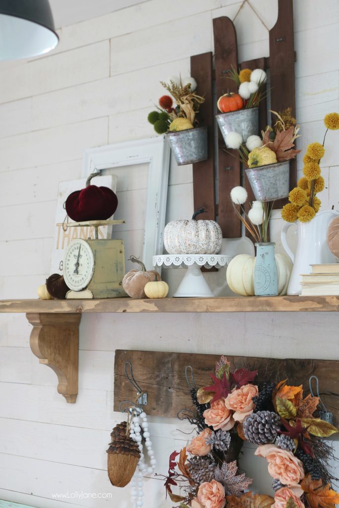 Have an empty shelf? Spruce it up with these EASY fall tips to make your home cozy and ready to welcome FALL!