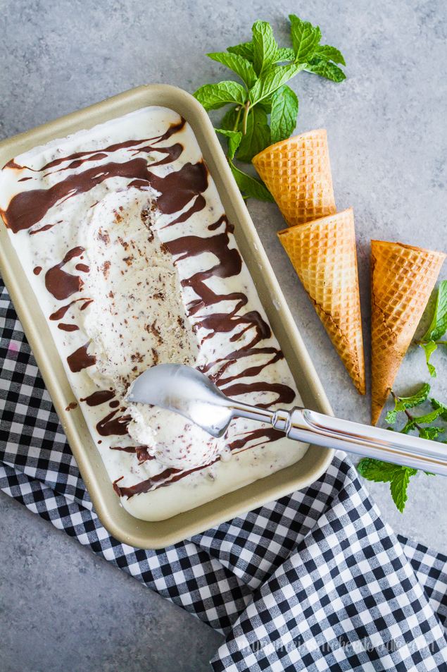 Easy to make Homemade Mint Chocolate Chip Ice Cream. YUM!