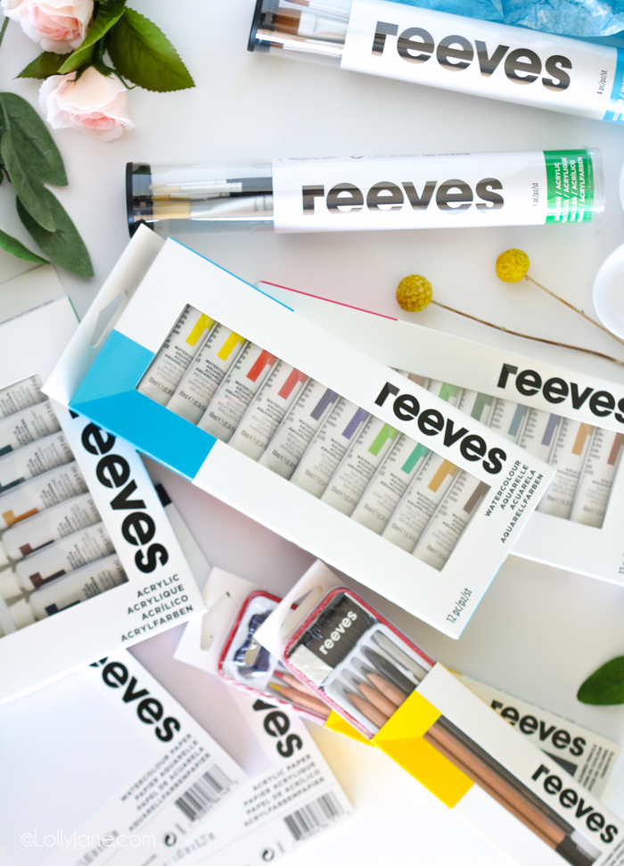 Reeves art supplies can turn drab into fab into no time!