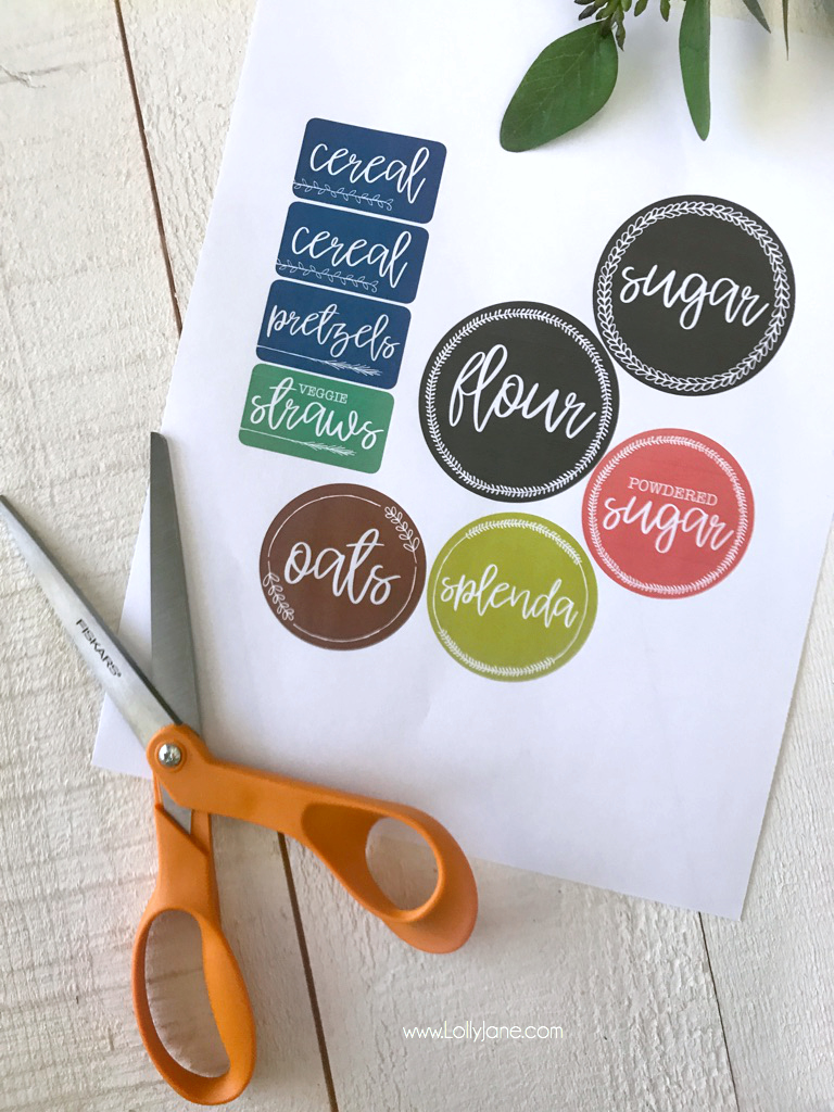 Easy Printable Pantry Labels... make them for FREE in just minutes then print + cut and apply!