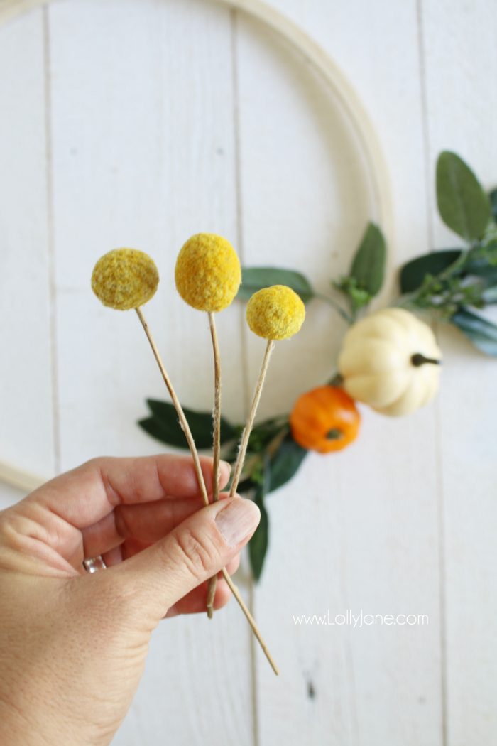 Love these cute billy balls, they make such cute fall decor! Love these craspedia fall decor pieces in a pretty fall wreath! 