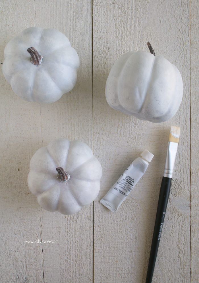 Click to see these boring white pumpkins turn into beautiful black and white plaid (buffalo check) fall decor!