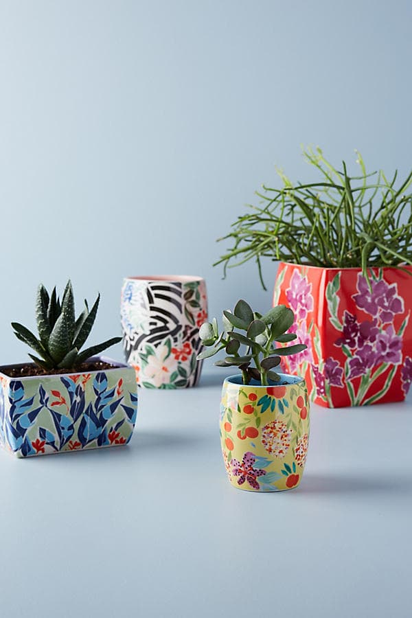 Anthro Sisters Gulassa Floral Pots are so darn cute! Love the colorful floral pots for pretty year round decorating!