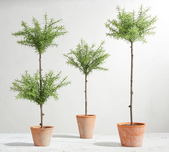 Adore this faux topiary trees from PB! They're the perfect decor accessory for any room in the house!