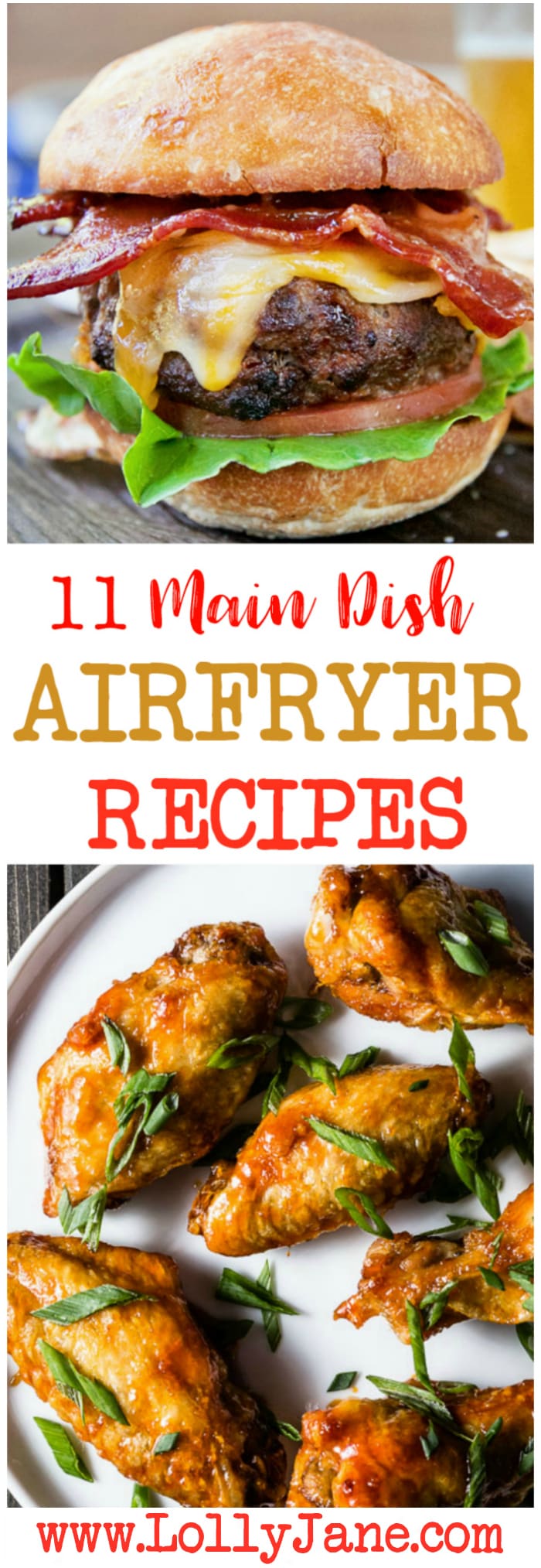 11 Airfryer main dish recipes -  Love these yummy air fryer dinner recipes! So many yummy things you can make in your airfryer!