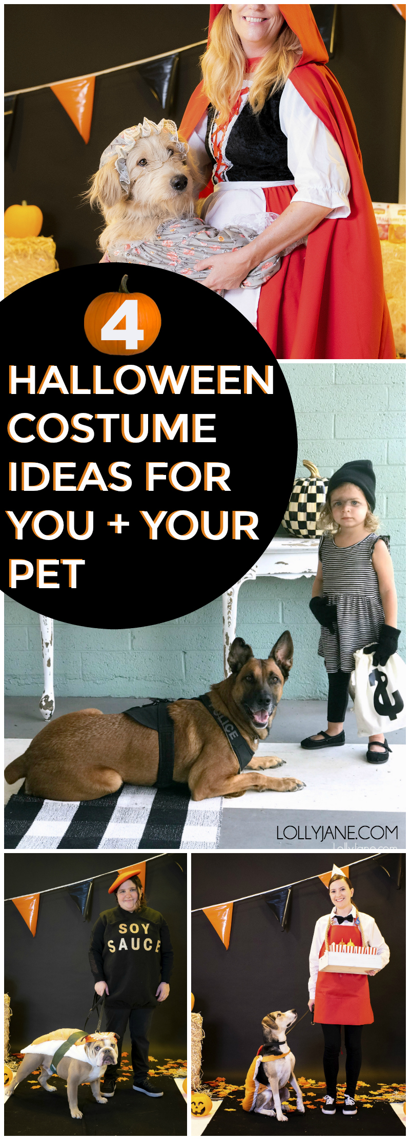 Halloween DIY Couples Costumes for You and Your Pet