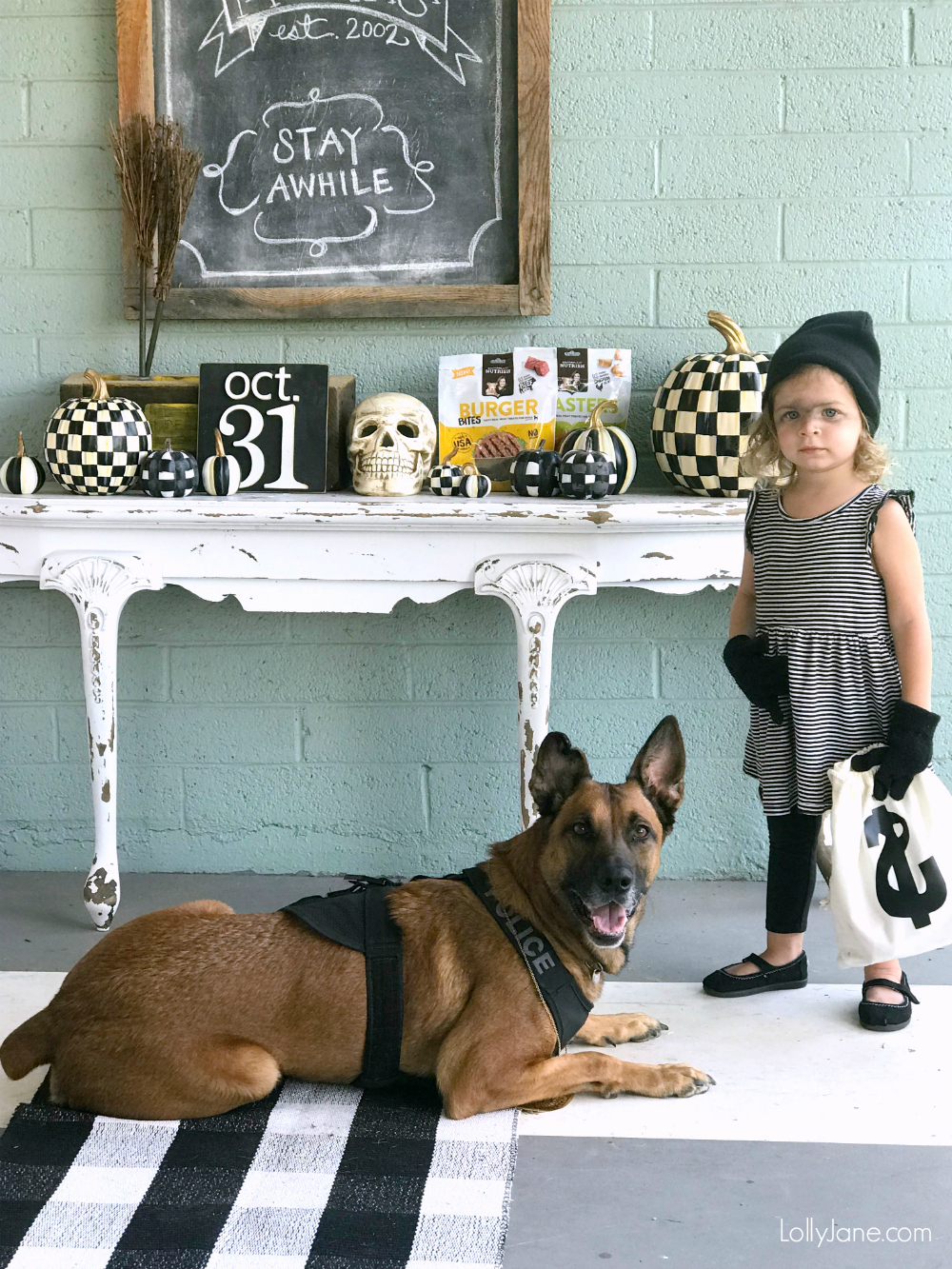 DIY Police Costume and K-9 Dog Halloween Costume