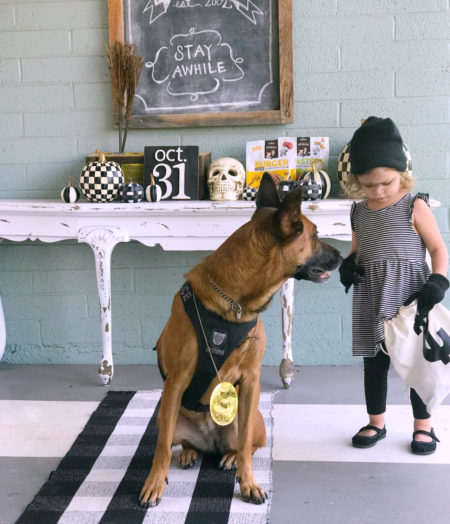 cute halloween costume ideas for you and your pet - Lolly Jane
