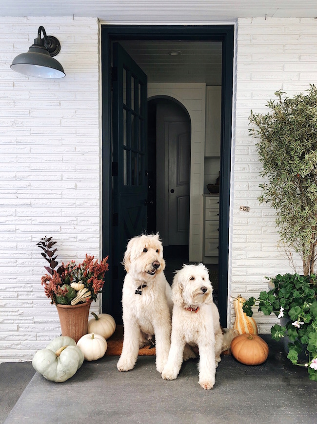 Beautiful Fall Mantel! Click to see 5 other homes decked out for fall, so festive and sure to get you in the mood for all things autumn!