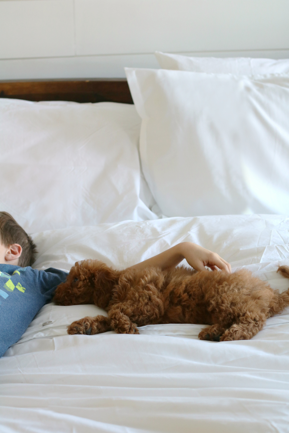 High quality bedding that is cozy and stylish... kid and pet friendly! #gryphonhome