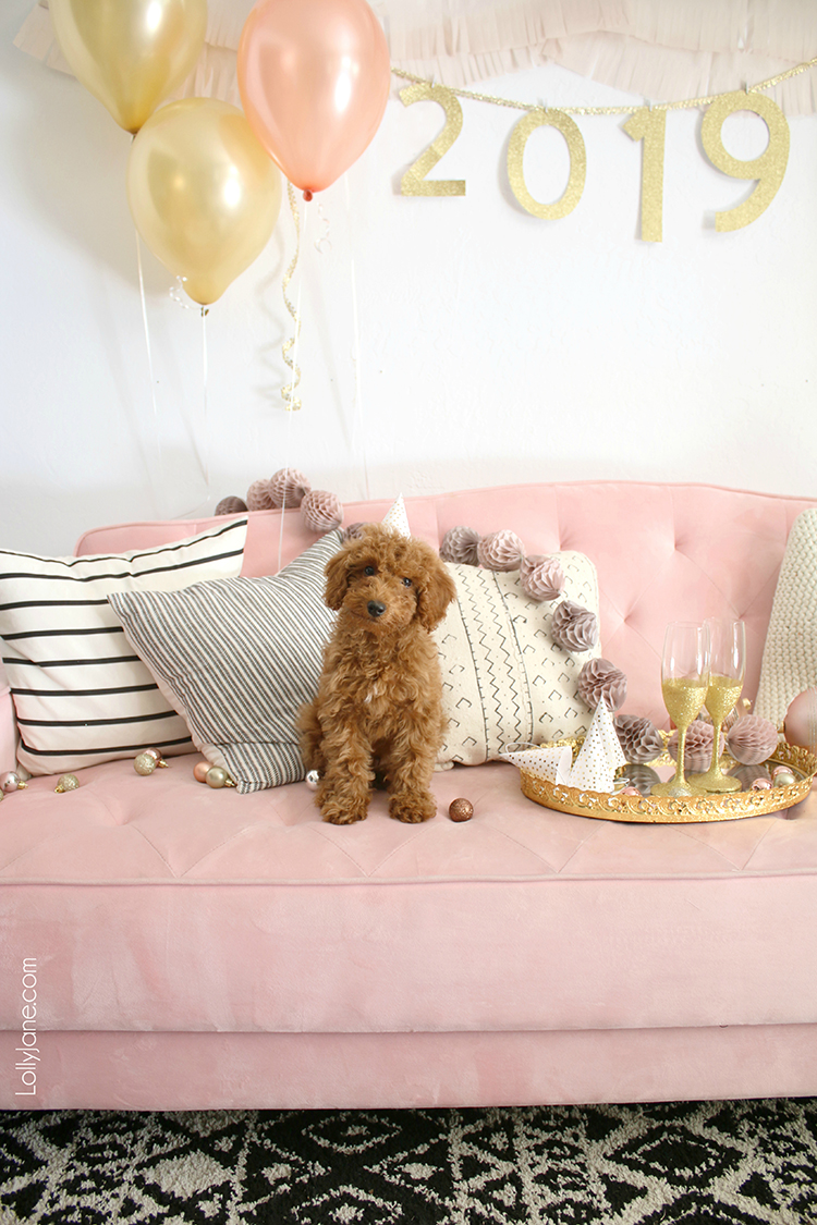 Cute and EASY DIY "2019" Party Garland... make for your New Years Eve party or for ANY party! #nye #newyearseve #goldendoodle #diy #diygarland