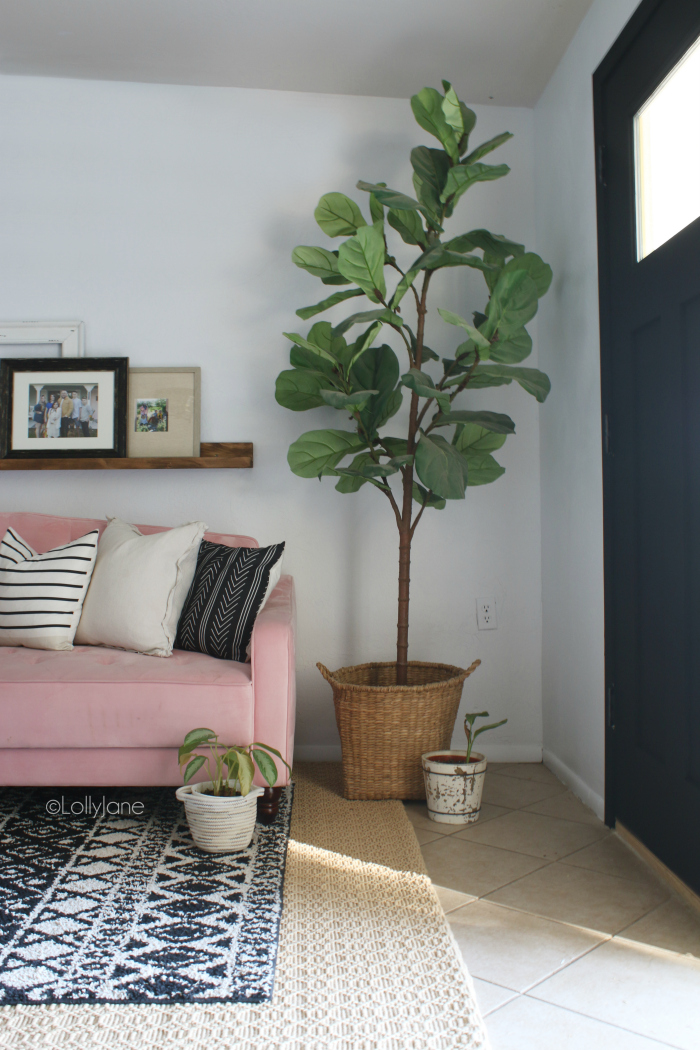 How to decorate mid century modern decor: bring in lots of plants, a colorful couch and neutral wall colors and black and white pillows. Fun eclectic living room decor ideas! #midcenturymodern #eclecticdecor #boholivingroom