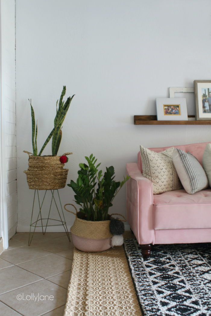 Check out these fun mid century living room accessories to create an eclectic boho chic living room! #midcenturyaccessories #plantdecorideas #homedecor #modernfarmhouse