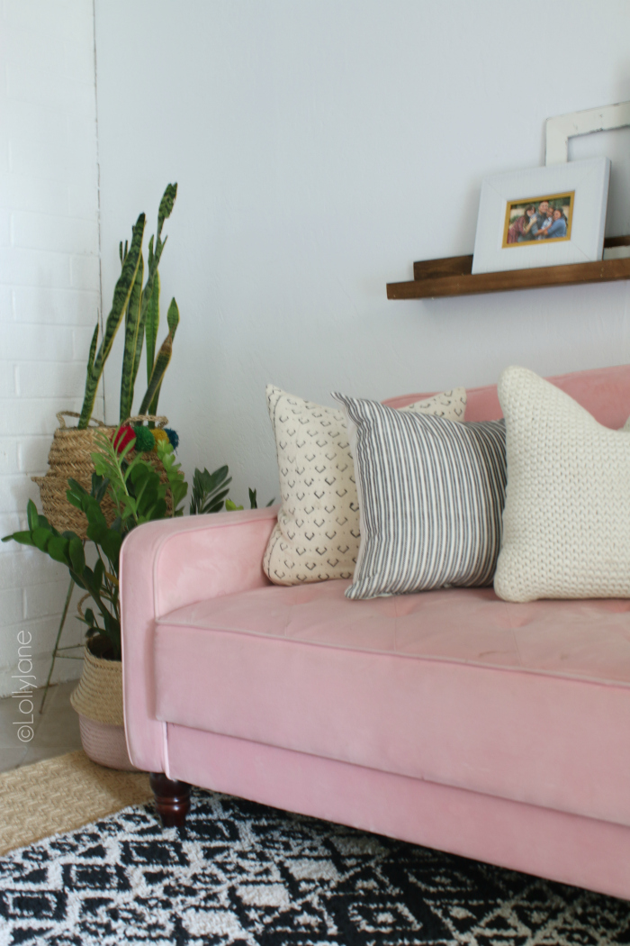 Decorating with snake plants to create boho decor. Love this pink velvet couch! #boho #snakeplant #plantlady #eclecticdecor