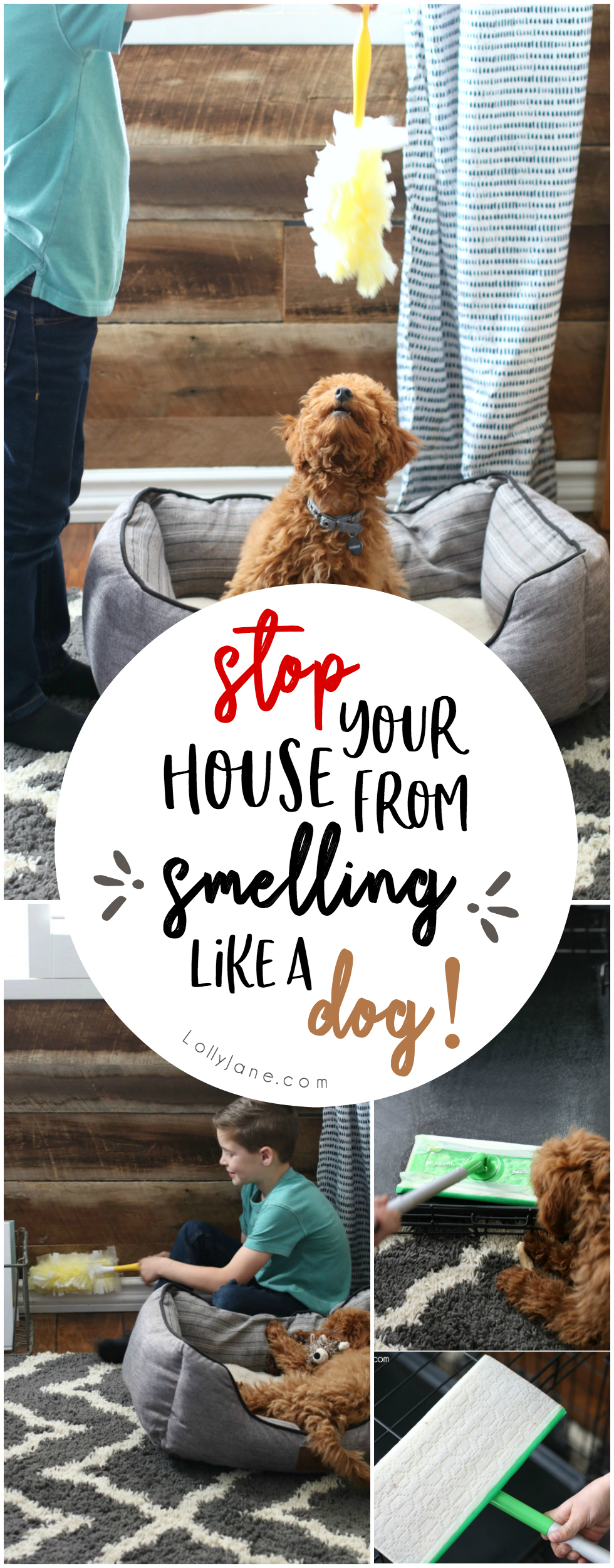 Have a pet or thinking about getting one? Check out these great tips on keeping your house from smelling like you have one! #DontSweatYourPet #SwifferFanatic #pets #petsofpinterest #cleanallthethings #petcleaningremedy #swiffer