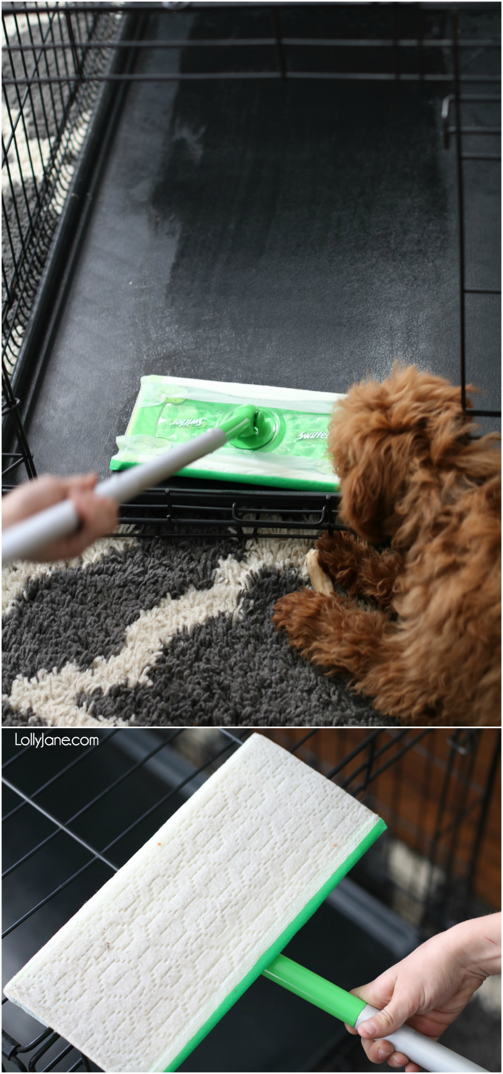 No pet smells here! Check out these EASY tips to keep your home smelling pet-free while enjoying your fur babies! #DontSweatYourPet #SwifferFanatic #pets #petsofpinterest #cleanallthethings #petcleaningremedy #swiffer