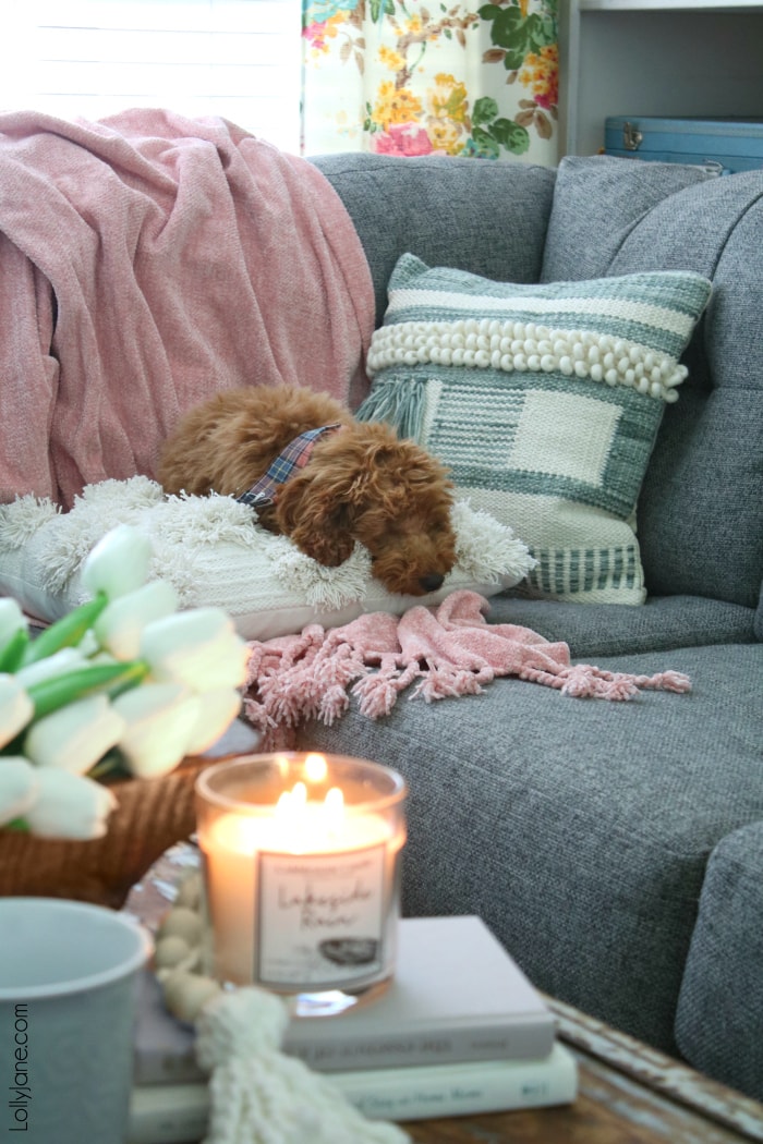 How to Make Your Home Feel Cozy