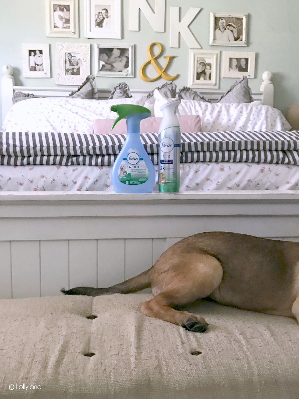 Say goodbye to unwanted pet smells! Love these SIMPLE Spring Cleaning Tips for pets! #pets #springcleaning #ad #dontsweatyourpet