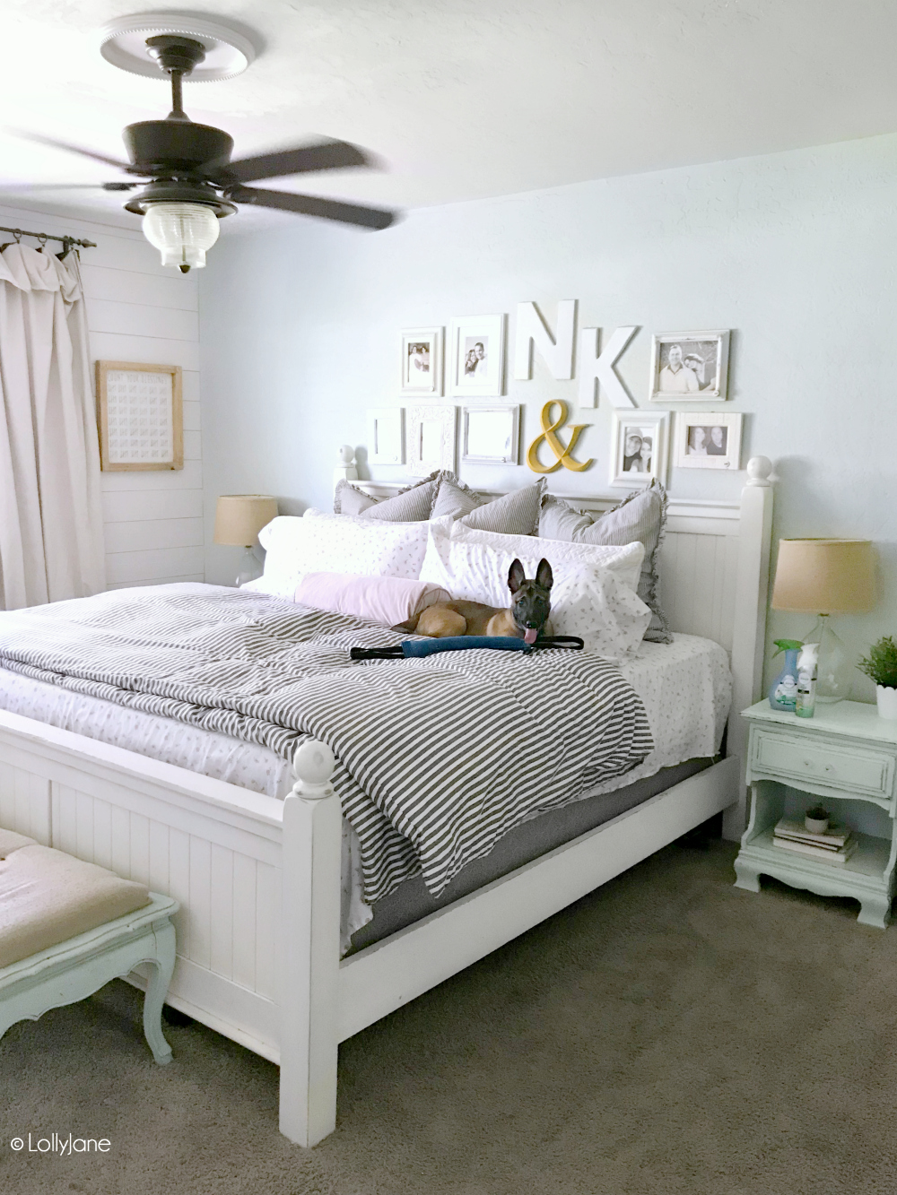 Don't forget your pet when Spring Cleaning! Check out these EASY Spring Cleaning Pet Tips t make sure your pets spaces are as fresh as your home! #pets #springcleaning #ad #dontsweatyourpet