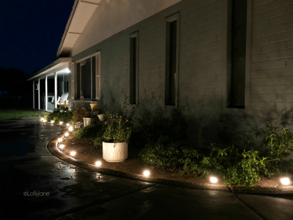 Loving these landscape lighting ideas, lights up the whole house with one stand! Use them in your garden, along your sidewalk, lots of ways to light up your house! #landscapelights #lighting #outdoorlighting #sidewalklights