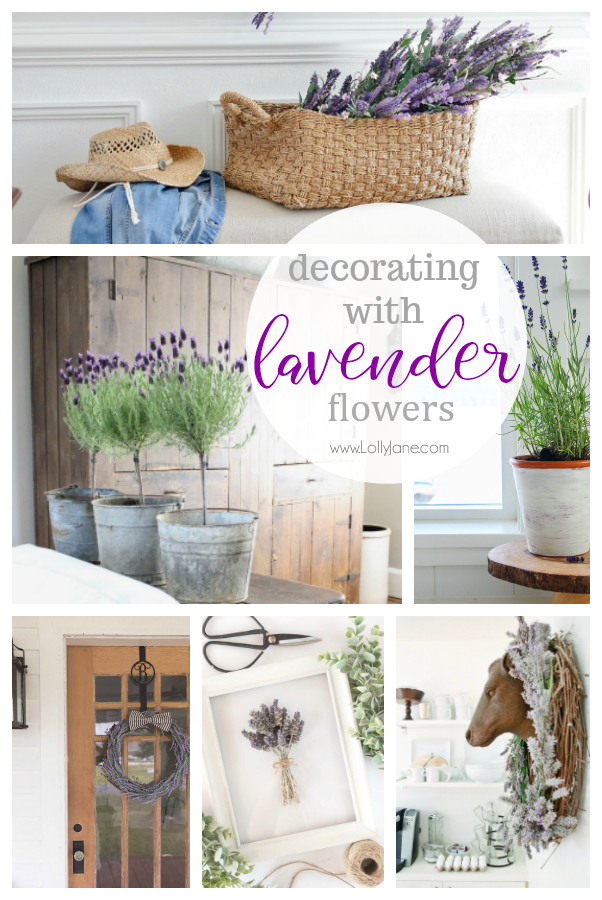 Learn how decorating with lavender flowers can add a touch of color and warmth to your home. Fresh lavender has many health benefits so you'll also feel good about displaying this pretty flower around your space. #lavenderdecor #decoratingwithlavender #lavenderflowers #homedecor #farmhousedecor #frenchcountrydecor